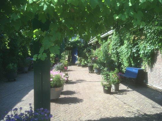 Het Rijk Van De Keizer